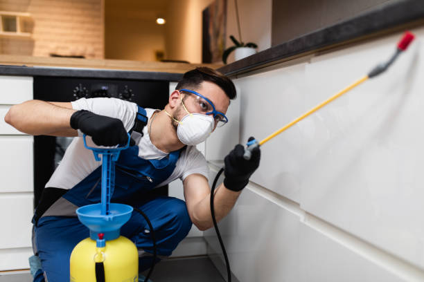 Best Exterminator Services  in Whitehall, WI