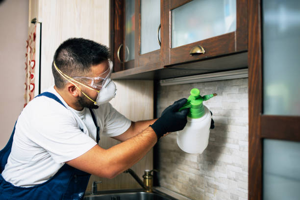Best Mosquito Control Services  in Whitehall, WI