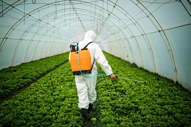 Best Commercial Pest Control Services  in Whitehall, WI