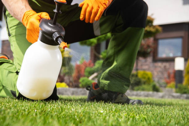 Best Emergency Pest Control  in Whitehall, WI