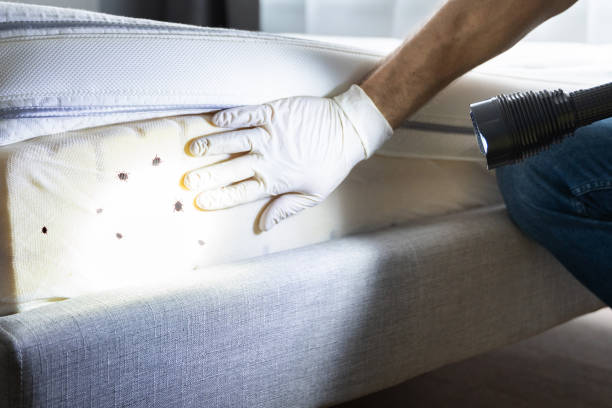 Best Pest Control Near Me  in Whitehall, WI