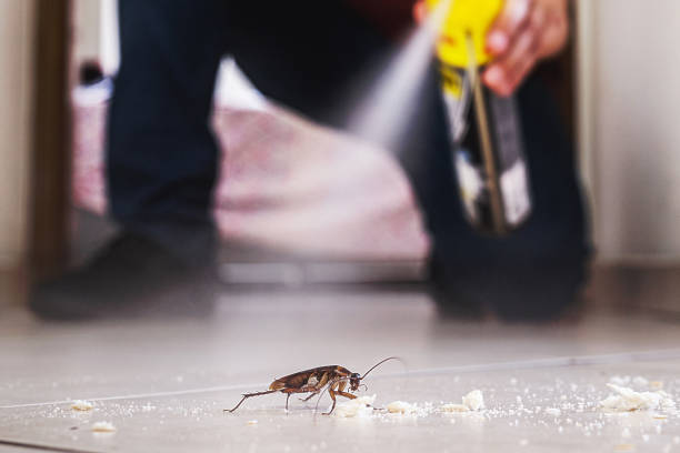 Best Affordable Pest Control Services  in Whitehall, WI