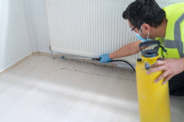Best Termite Control Services  in Whitehall, WI